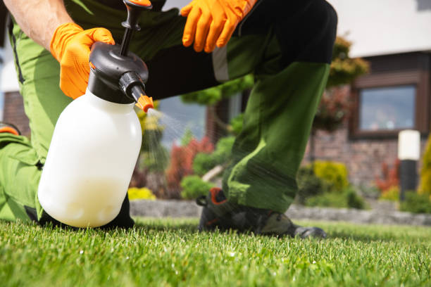 Best Termite Control Services  in Lakeview, OR