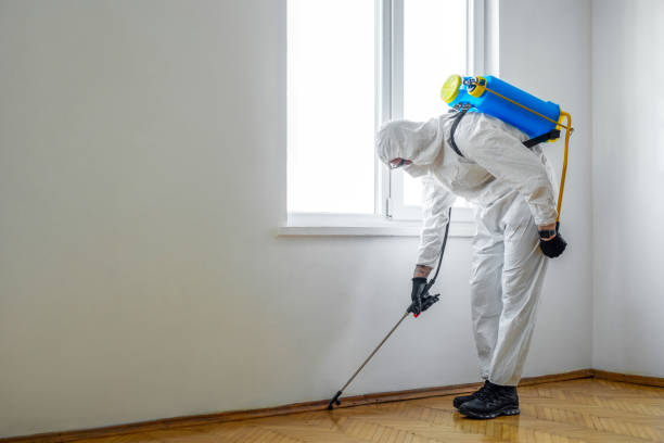 Best Pest Removal Services  in Lakeview, OR