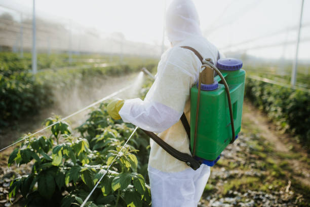 Wildlife Control Services in Lakeview, OR